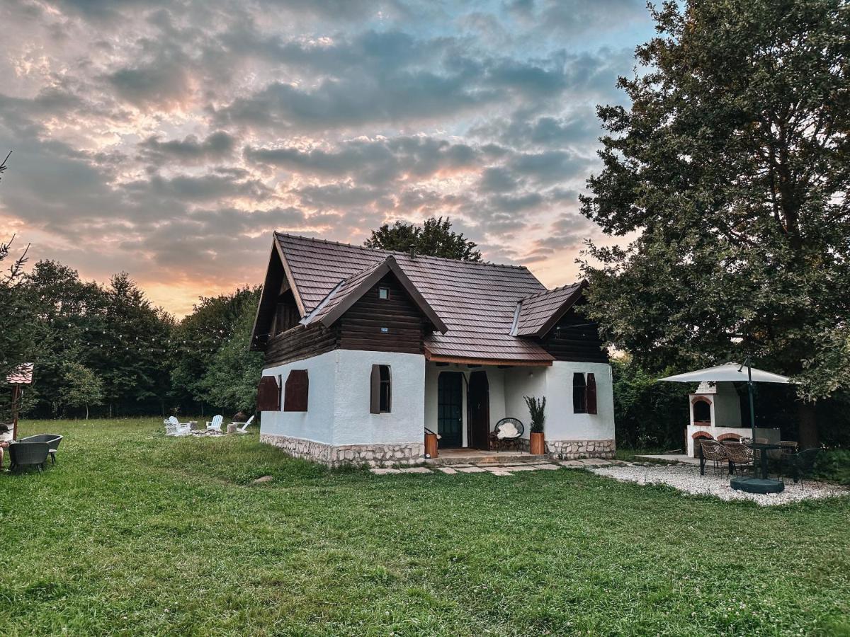 Villa Cuib Din Fagaras Avrig Esterno foto