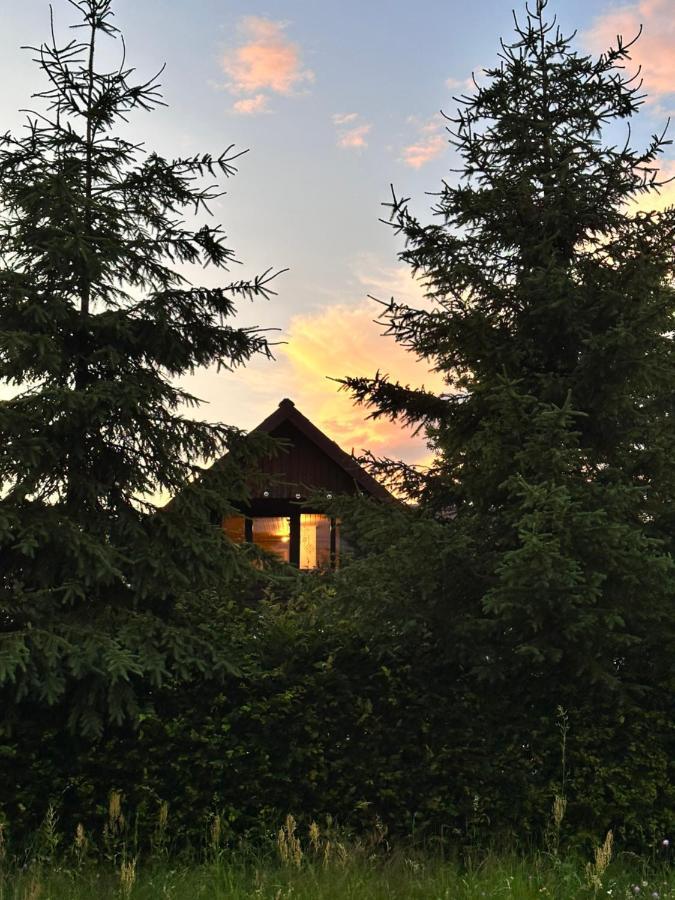 Villa Cuib Din Fagaras Avrig Esterno foto