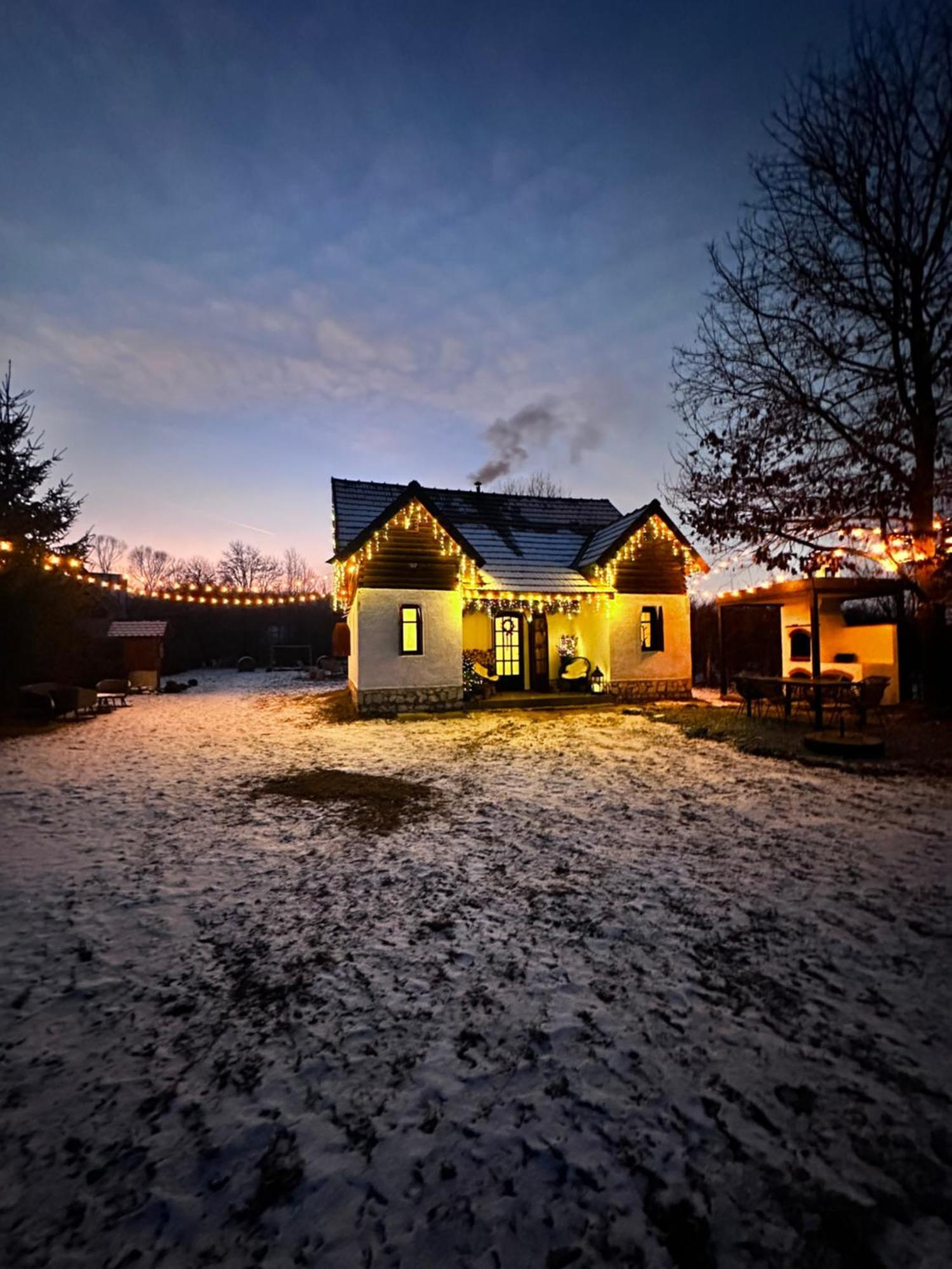 Villa Cuib Din Fagaras Avrig Esterno foto