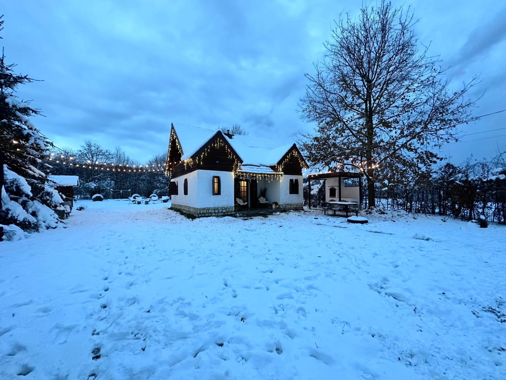 Villa Cuib Din Fagaras Avrig Esterno foto